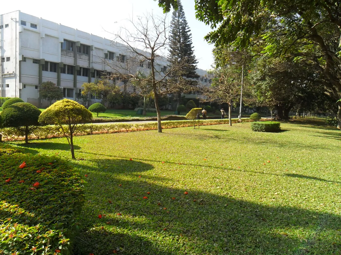 RV College of Engineering